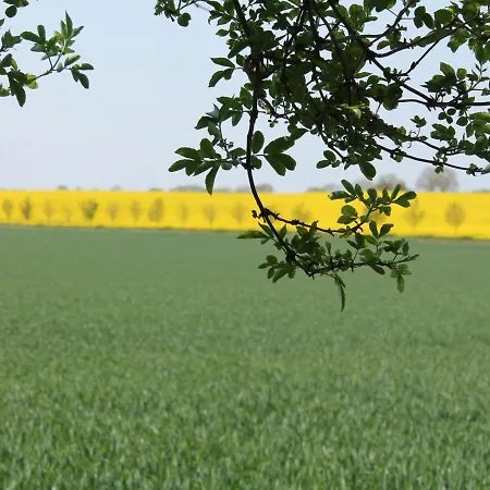 Beachside Bungalow, *